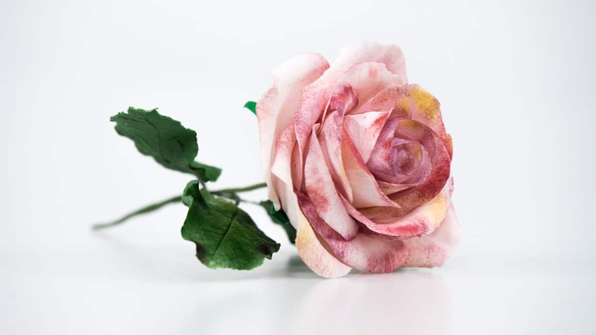 rosa-pasta-de-flores-modelada-carmen-montero-escuela-de-reposteria-online
